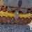wacker-neuson-rt-image-5