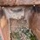 #5016-•-excavator-bucket-image-7