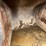 #5015-•-excavator-bucket-image-4