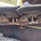 caterpillar-d6h-xl-image-24