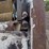 bobcat-763-image-20