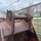 #5002-•-excavator-bucket-image-12