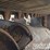 2016-bobcat-t750-image-12