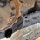 2020-bobcat-t66-image-6