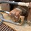 #5035-•-hydraulic-plate-compactor-attachment-image-10