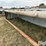calf-shed-image-17