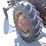 massey-harris-pony-image-56