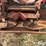 litter-spreader-image-15
