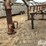 2011-better-built-6n-12-bale-t/a-hay-trailer-image-13