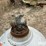 100lb-propane-tanks-image-13