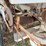 willmar-600-image-15