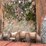 #5016-•-excavator-bucket-image-4