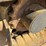2018-takeuchi-tb260-image-15
