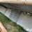 calf-shed-image-14