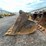 #5008-•-excavator-bucket-image-2