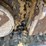 yanmar-vio80-1a-image-4