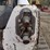 2013-bobcat-t770-image-27