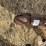s/a-branding-trailer-image-10