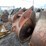 #5011-•-excavator-bucket-image-5