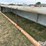 calf-shed-image-16