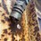 #5055-•-ingersoll-rand-v46-hydraulic-hammer-breaker-unit-image-11