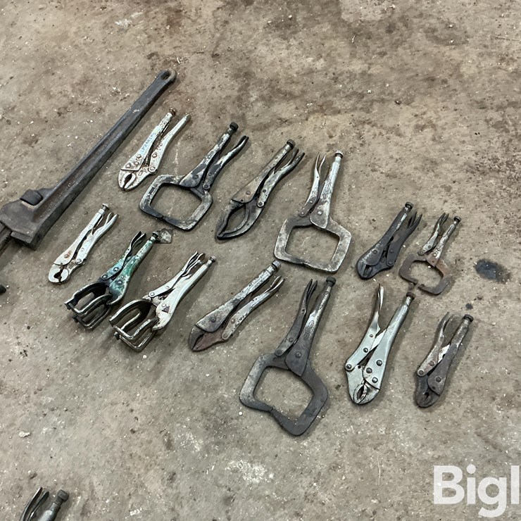 Vise Grips & Pipe Wrench
