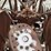 fordson-f-image-13