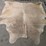 light-brindle-hide-image-6
