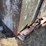 rayfo-dumpster-image-4