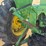 1961-john-deere-3020-image-9