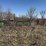 sold-onsite-only---old-machinery-and-scrap-iron-image-5