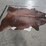 dark-brindle-hide-image-10