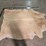 beige-hide-image-8