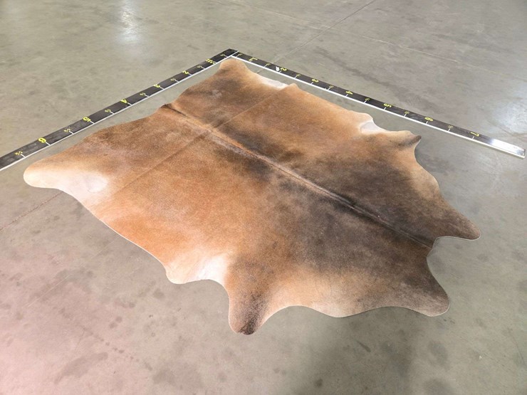 warm-aramel-hide-image-7