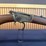 marlin-39-rifle-image-7