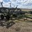 john-deere-chisel-plow-image-4