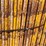 non-stop-scaffolding-on-carrying-cage-image-6