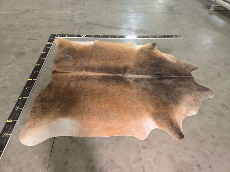 warm-aramel-hide-image-8