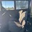 ford-model-t-image-63