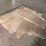 light-brindle-hide-image-7