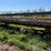 new-holland-971-image-2