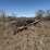 sold-onsite-only---old-machinery-and-scrap-iron-image-7