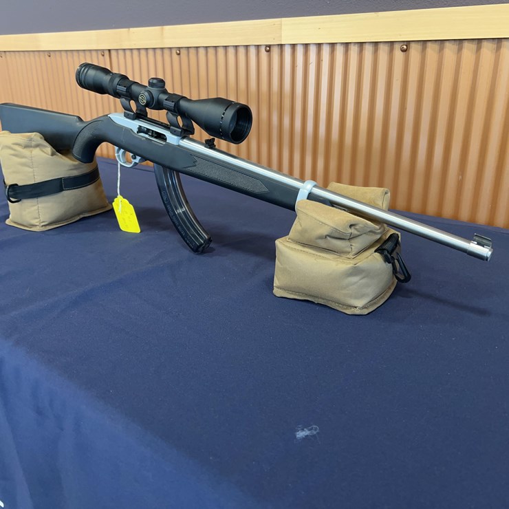 Ruger 10-22 Rifle