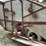 fordson-f-image-37