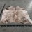light-brindle-hide-image-2