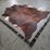 dark-brindle-hide-image-5