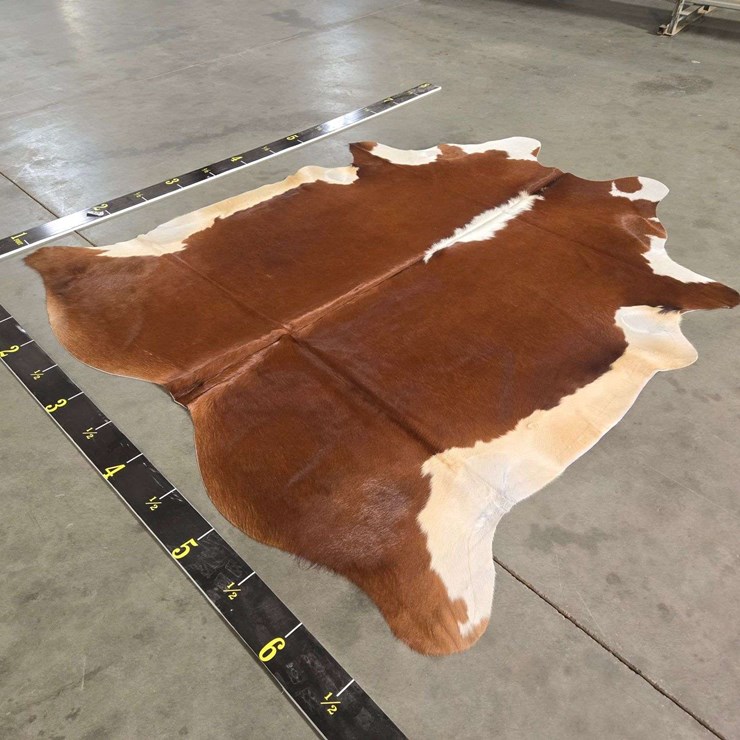 Hereford Hide