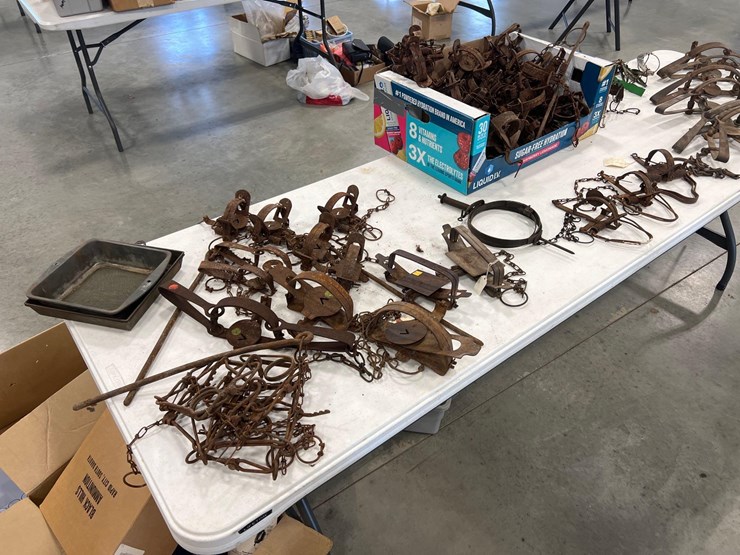 traps-image-5
