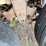 cornhusker-hopper-image-9