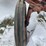 ford-9n-image-19